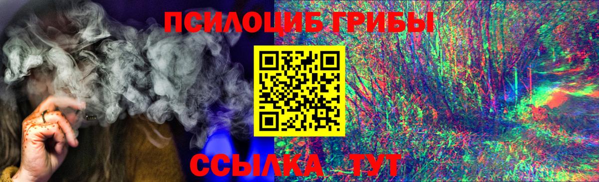 Канаш  Псилоцибиновые грибы Psilocybe  Вход с VPN 